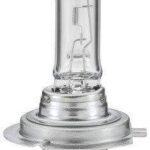 H7 Halogen Bulb 12V 100W