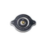 Neptune RC3G-13 Radiator Cap