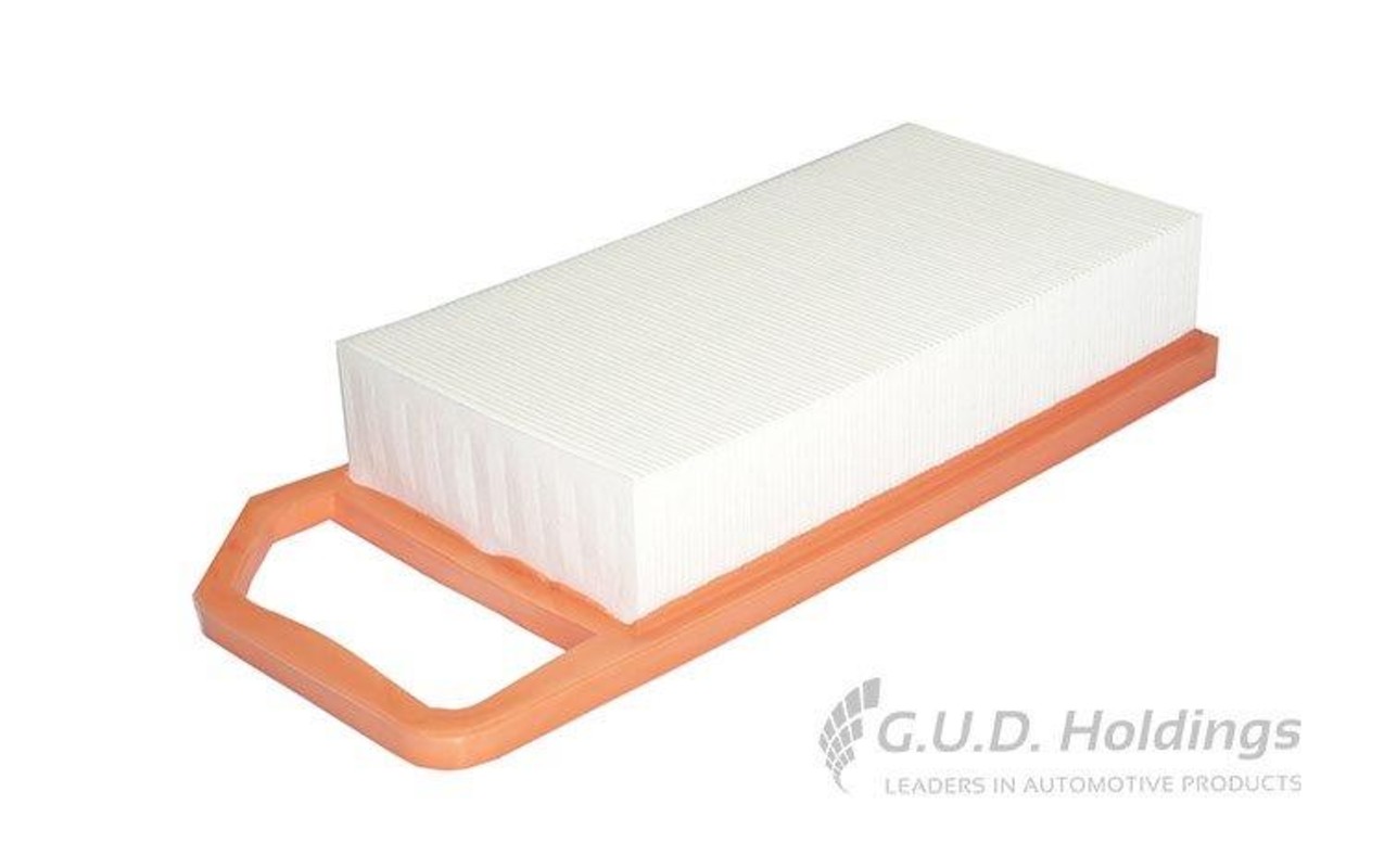 GUD AG1377 Air Filter – Citroen C5 '04