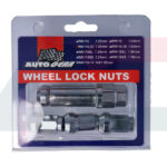 Autogear Locking Wheel Nut Set M12x1.25 Type 20 | WN115-20
