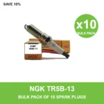 NGK TR5B-13 spark plug bulk pack of 10