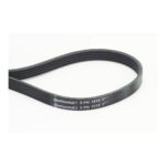 Continental 5PK1515 fan belt