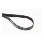 Continental 6PK1173 fan belt