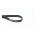 Continental 6PK1564 fan belt