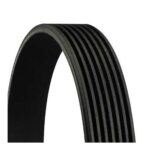 Continental 7PK1516 fan belt