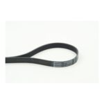 Continental 7PK1570 fan belt