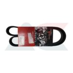 Torstein 5PK1030 fan belt