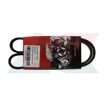 Torstein 5PK900 fan belt