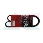 Torstein 5PK955 fan belt