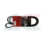 Torstein 6PK1560 fan belt